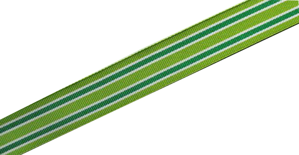 Taschengurt Dekoband grün weiß