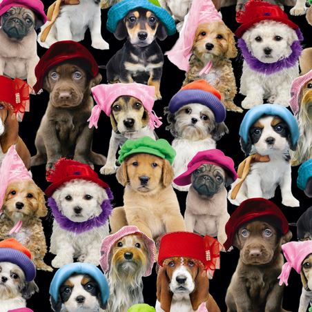 Hund Hunde Welpen Kappen Baumwollstoff