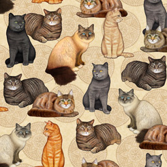Katze Katzen Baumwollstoff