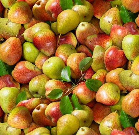 Birnen Obst Baumwollstoff