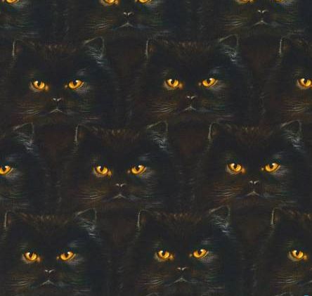 Katzen Katzengesichter braun schwarz Baumwollstoff