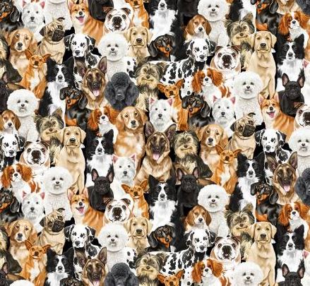 Hund Hunde Baumwollstoff