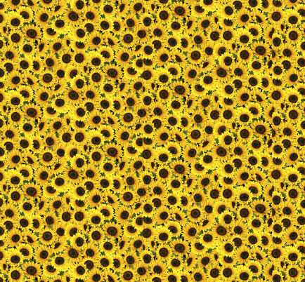 Sonnenblumen Herbst Mini Patchworkstoff