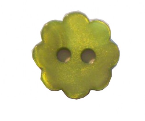 Knopf grün Blüte
