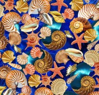 Muscheln Meer maritim blau Patchworkstoff