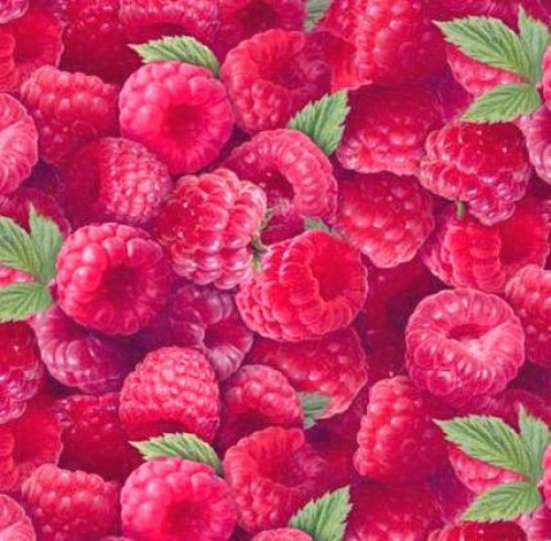 Himbeere Himbeeren Baumwollstoff