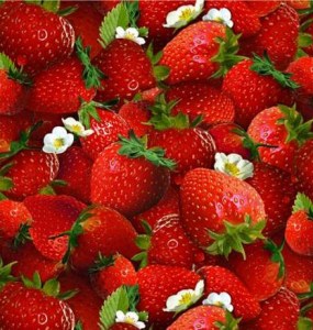 Erdbeere Erdbeeren Baumwollstoff