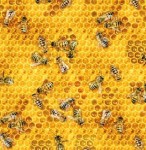 Bienen Waben Honig gelb Patchworkstoff