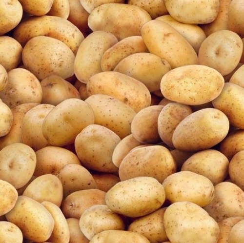 Kartoffeln Gemüse Baumwollstoff