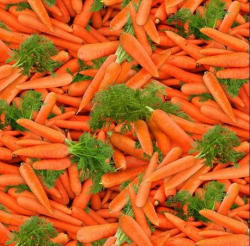 Möhren Karotten Gemüse Baumwollstoff
