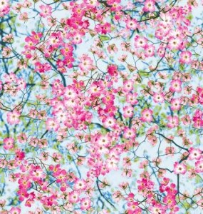 Himmel Blüten Baum Frühling Baumwollstoff