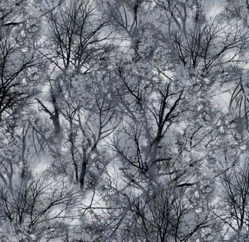 Nebel Bäume Nacht schwarz Patchworkstoff
