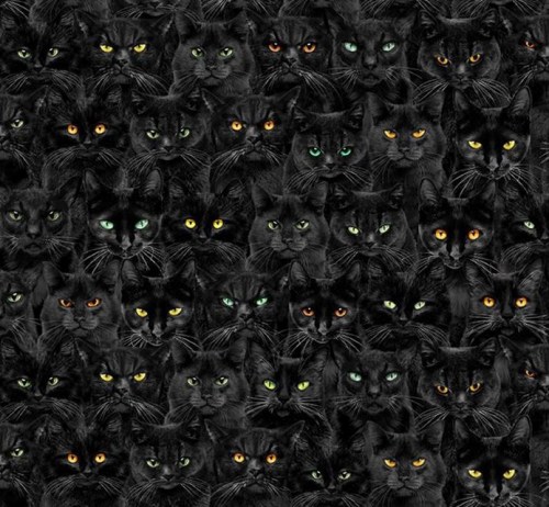 Katze Katzen Baumwollstoff