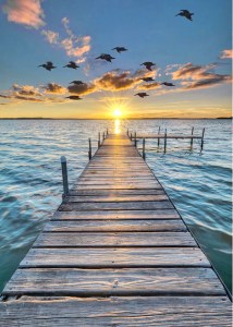 Steg Sonnenuntergang Meer Patchworkstoff